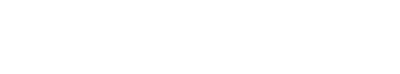 Nexus 21 logo