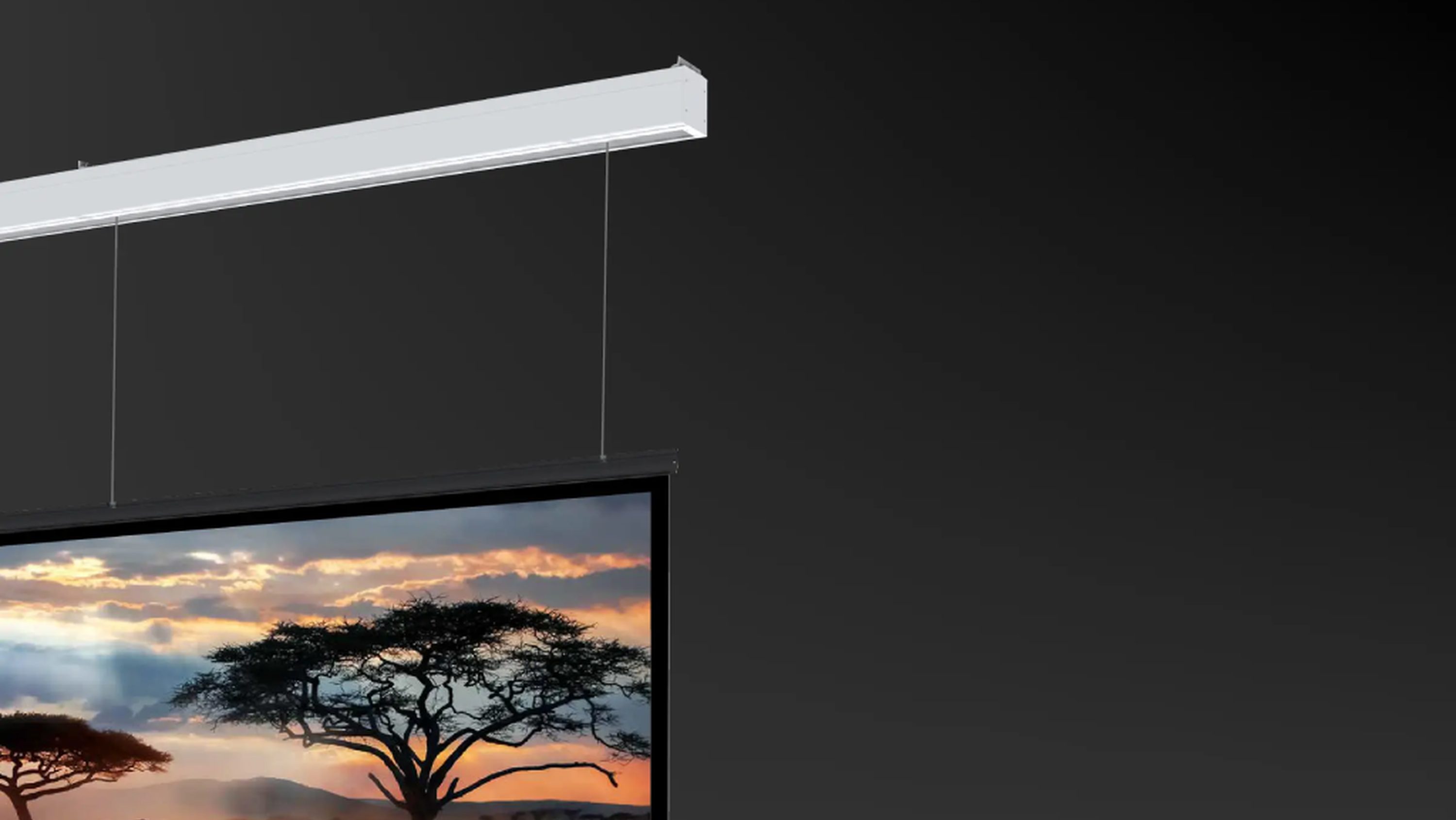 Screen Innovations Zero Edge fixed screen