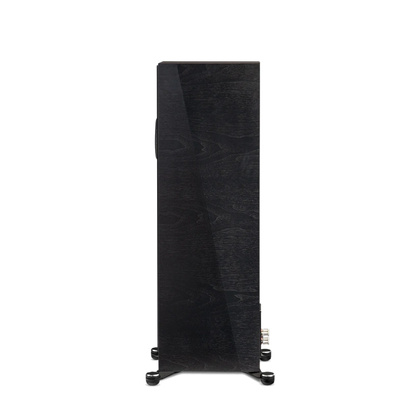 paradigm/FOUNDER-100F-black-walnut-1
