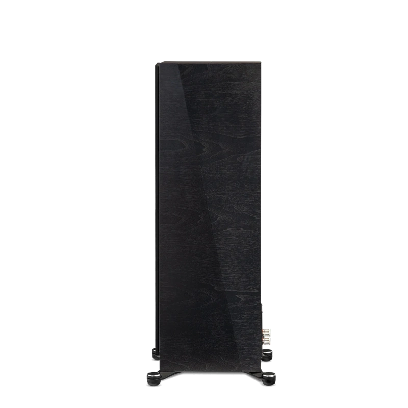 paradigm/FOUNDER-100F-black-walnut-2