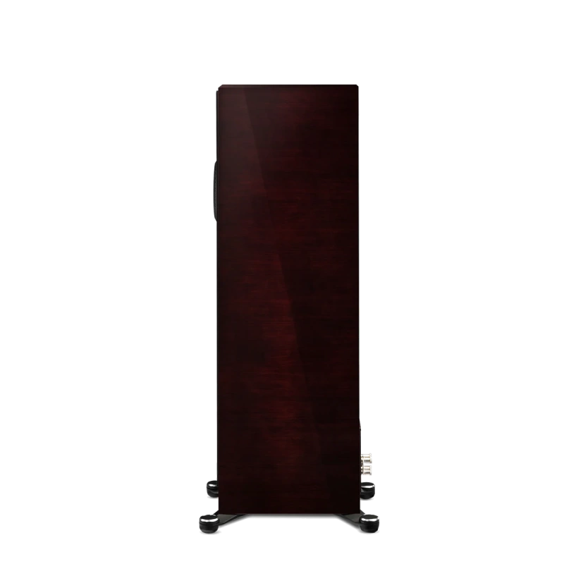 paradigm/FOUNDER-100F-midnight-cherry-1