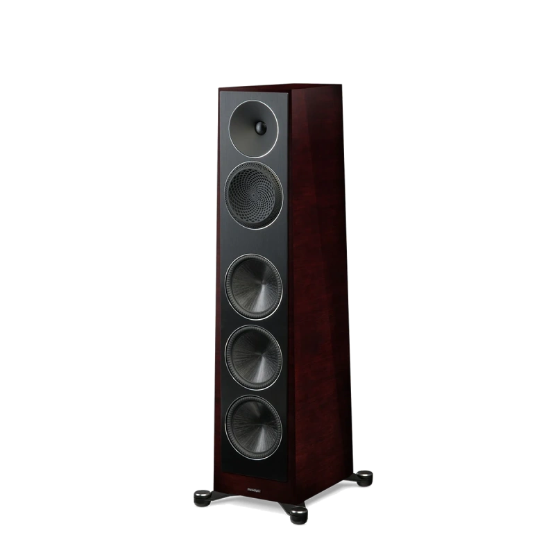 paradigm/FOUNDER-100F-midnight-cherry-2