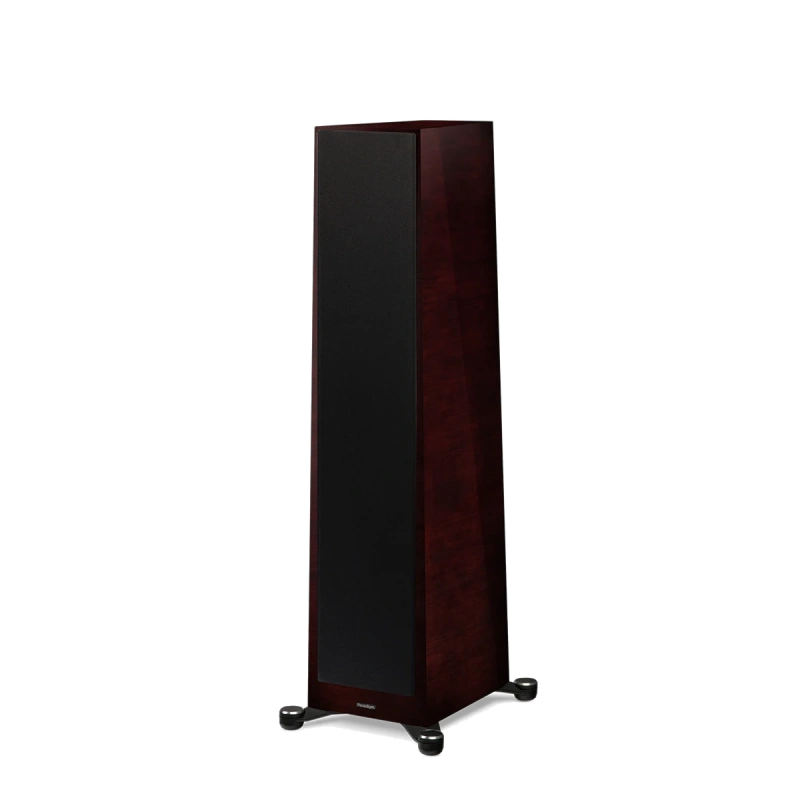 paradigm/FOUNDER-100F-midnight-cherry-3