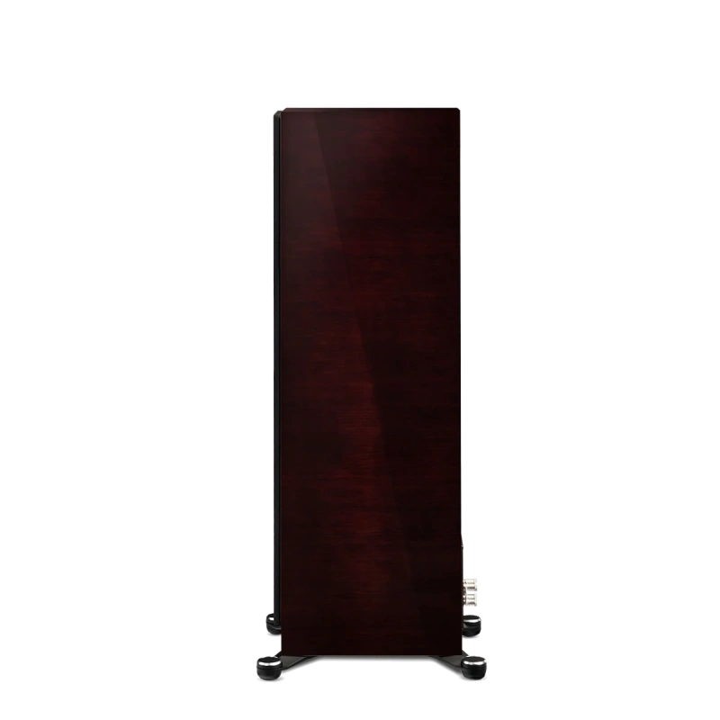 paradigm/FOUNDER-100F-midnight-cherry-5