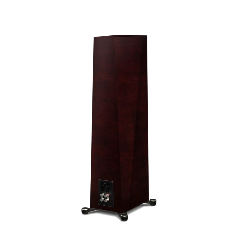 paradigm/FOUNDER-100F-midnight-cherry-7