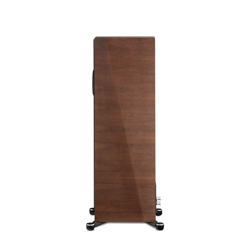 paradigm/FOUNDER-100F-walnut-5