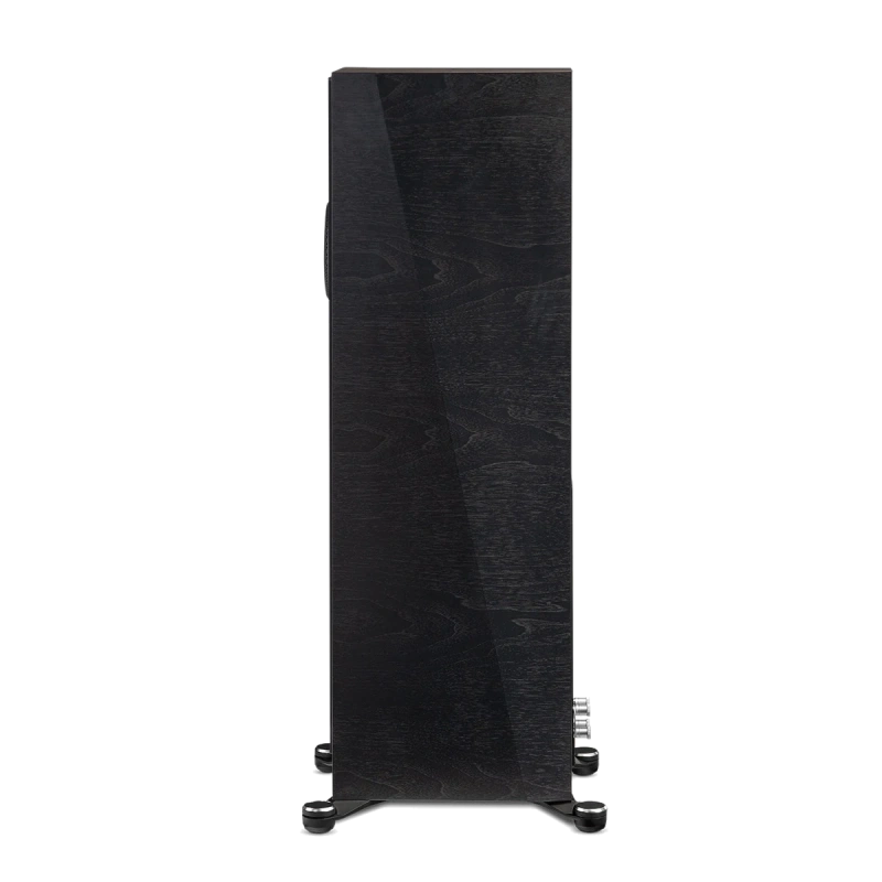 paradigm/FOUNDER-120H-black-walnut-4