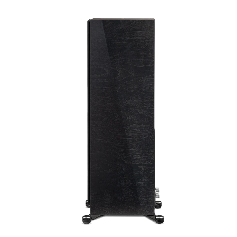 paradigm/FOUNDER-120H-black-walnut-5