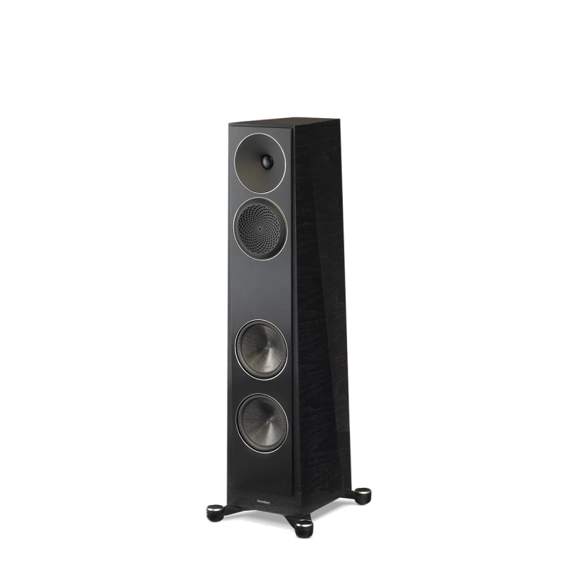 paradigm/FOUNDER-80F-black-walnut-1