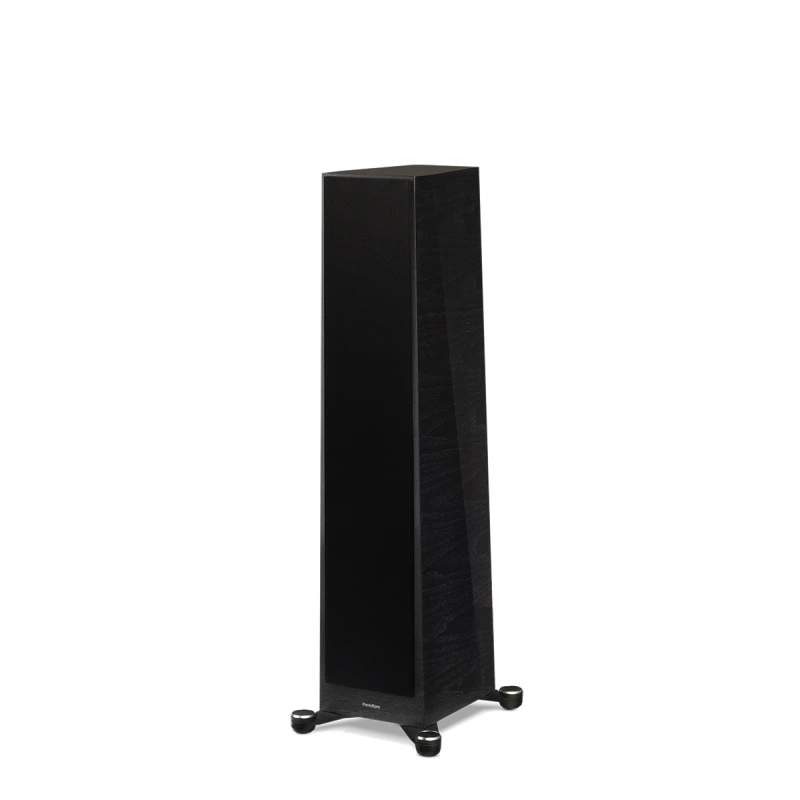 paradigm/FOUNDER-80F-black-walnut-2