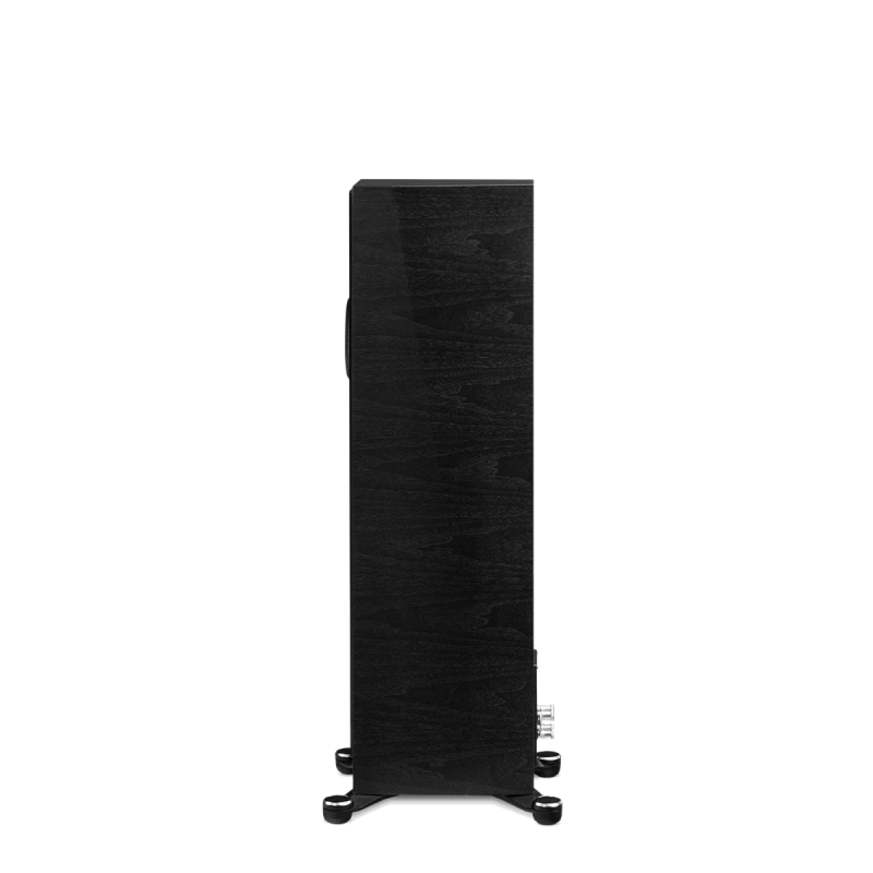 paradigm/FOUNDER-80F-black-walnut-3