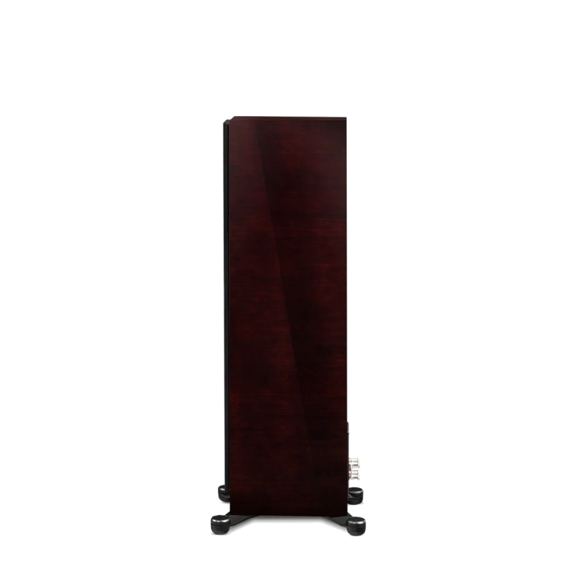 paradigm/FOUNDER-80F-midnight-cherry-5