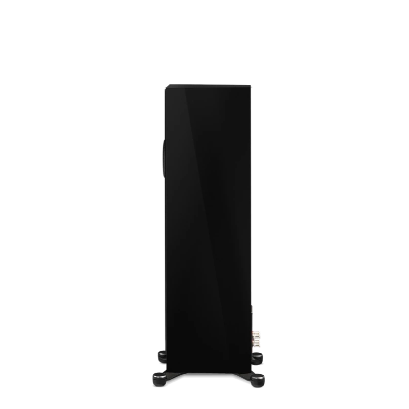 paradigm/FOUNDER-80F-piano-black-4