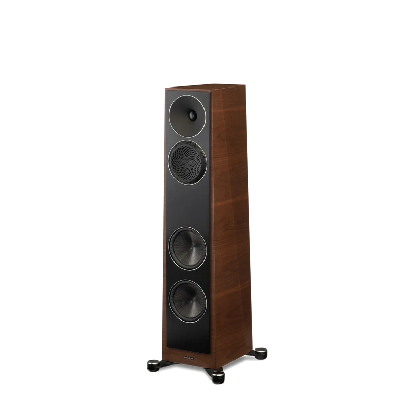 paradigm/FOUNDER-80F-walnut-1