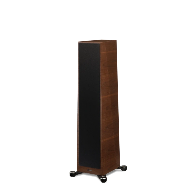 paradigm/FOUNDER-80F-walnut-2
