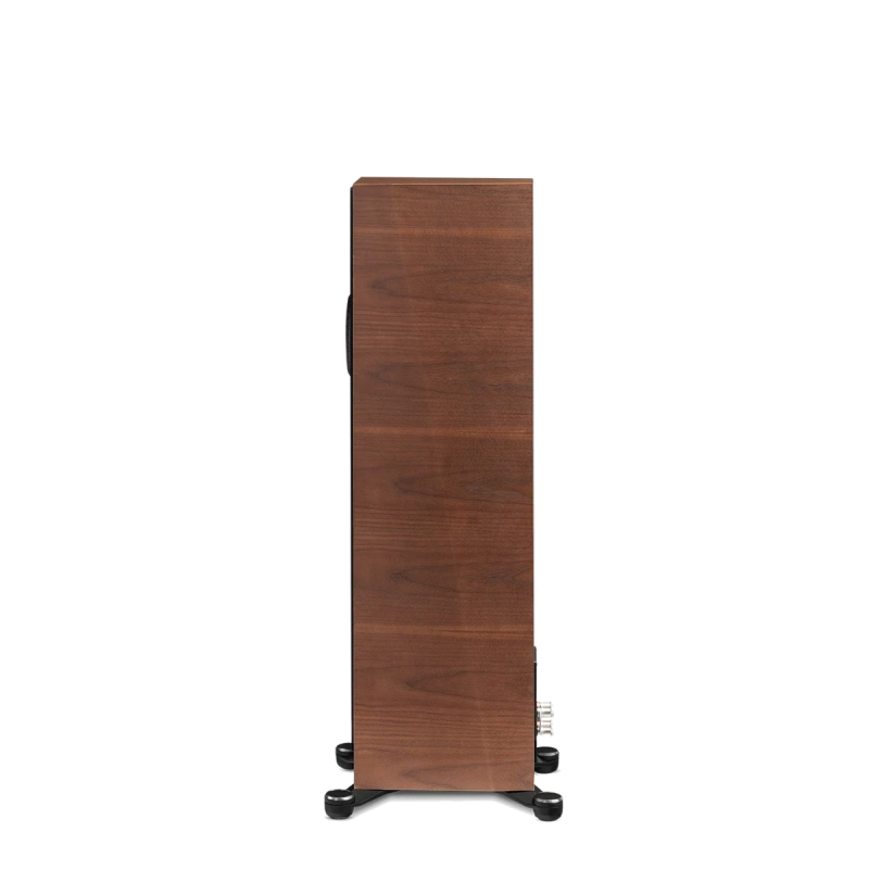 paradigm/FOUNDER-80F-walnut-4