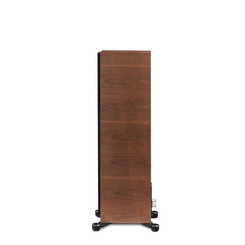 paradigm/FOUNDER-80F-walnut-5