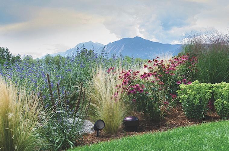 Scenic garden with outdoor speakers and mountain backdrop