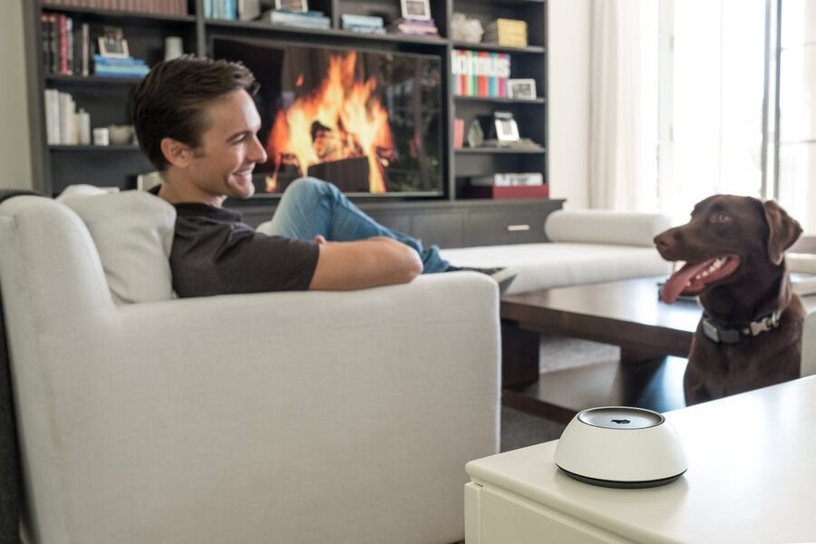 A man and his dog in a living space with a Josh.ai device on the side table.